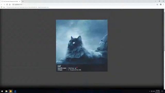 HOW TO MAKE RESPONSIVE CAROUSEL SLIDER (jQuery and Owl Carousel) смотреть онлайн