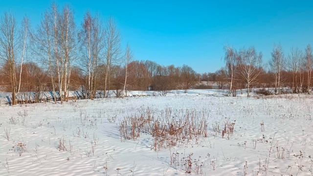 как правильно кататься на лыжах смотреть онлайн