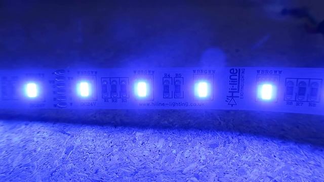 RGB+Tunable White LED strip смотреть онлайн