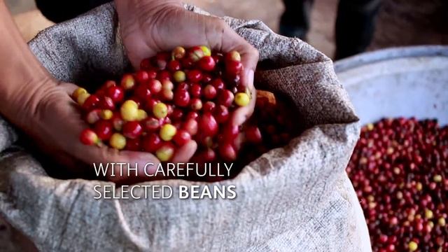 Schaerer Coffee Soul - Baristaen er i maskinen смотреть онлайн