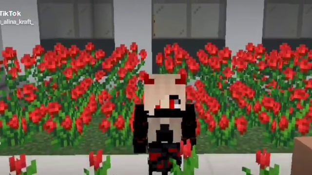 У меня каждый раз такое смотреть онлайн