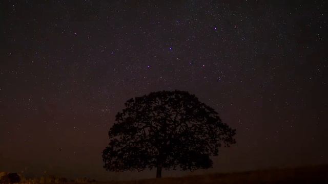 African Music | African Savannah | Relax, Study & Ambience