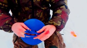 Как ставить жерлицы. Как правильно ловить на жерлицы. Лайфхак.