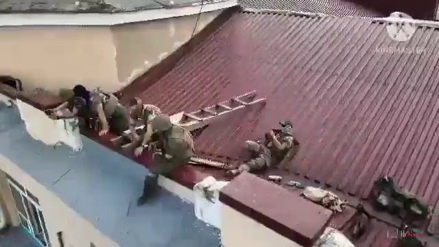 Ростов-папа. Лето и «Музыканты» смотреть онлайн