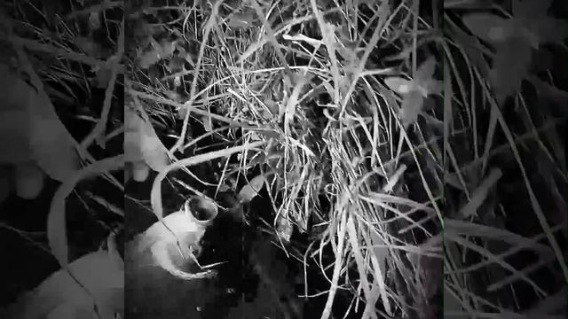 Рыбалка в Осенках 16.08.2017 г. смотреть онлайн