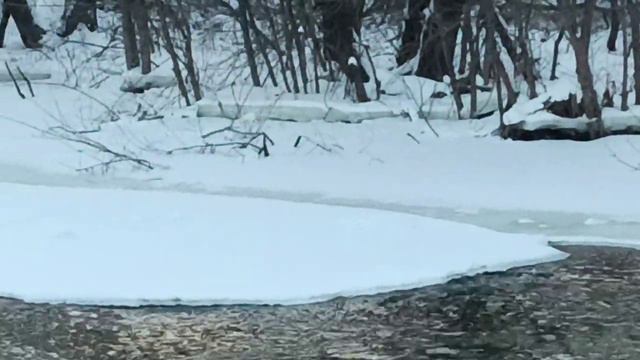 на Покровке у уток есть соседи)) смотреть онлайн