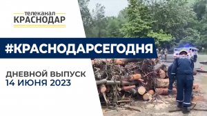 Подтопление в Сочи, фестиваль документального кино и другие новости 14 июня