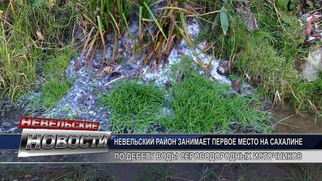 Невельский район на первом месте на Сахалине по дебету воды сероводородных источников смотреть онлайн