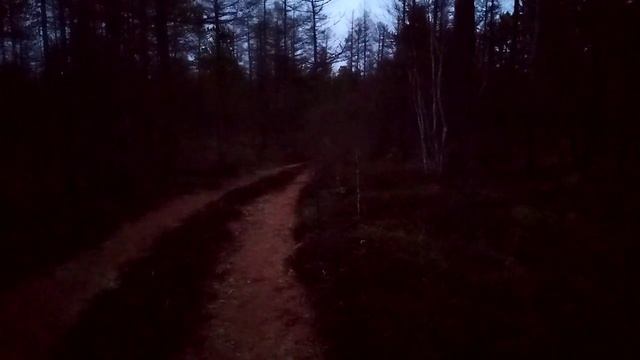 подход к каменному глухарю .который совсем не глухарь все слышит)) смотреть онлайн