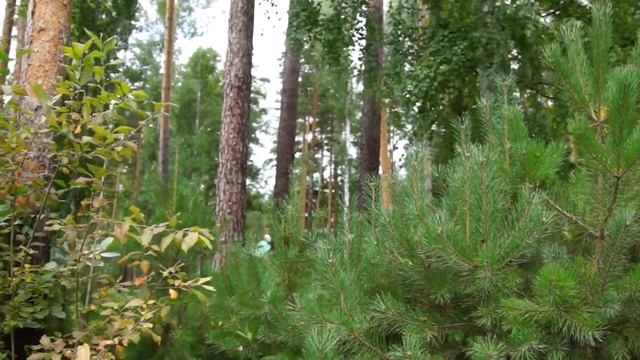 Видеосъемка свадьбы Краснодар смотреть онлайн
