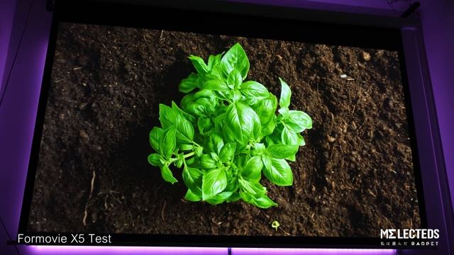 Formovie X5 Demo test 4K смотреть онлайн