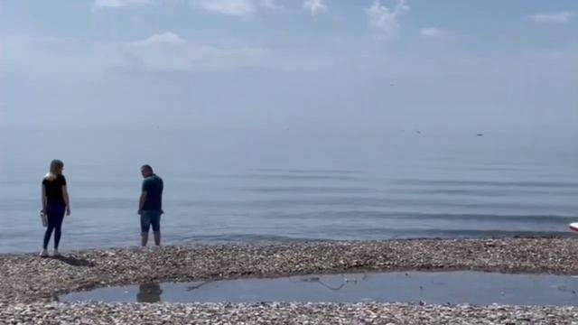 Хоста, побережье смотреть онлайн