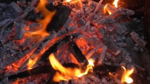 Сом на гриле. Готовим рыбу сом. Сом на углях. Как приготовить сома