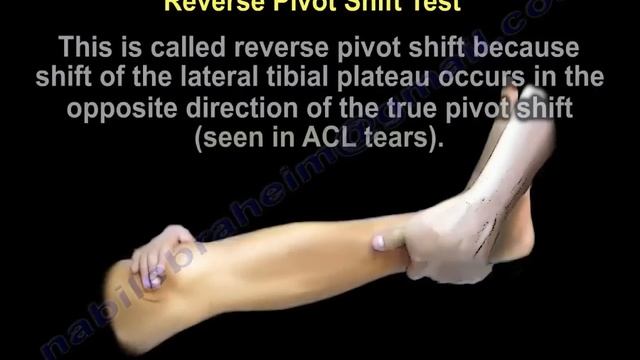 Tests For  Examination  Of The Knee - Everything You Need To Know - Dr. Nabil Ebraheim