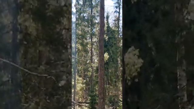Поход на озеро Ястрибиное смотреть онлайн
