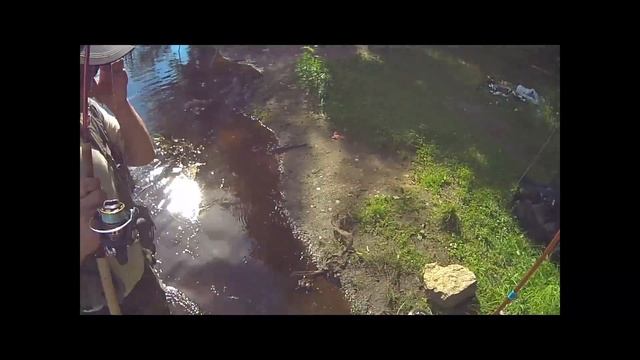 Левашовский кан. и Рощино 10 07 16 смотреть онлайн