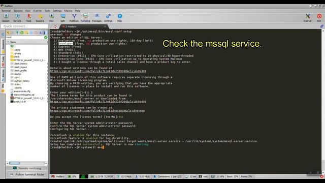 Install Microsoft SQL Server 2019 on CentOS 8 / RHEL 8 смотреть онлайн