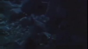 Все сказки Шахерезады (Приключения Маруфа-башмачника)