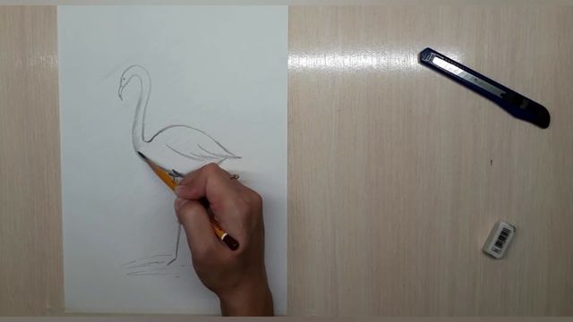 #Графика Рисуем фламинго ? Как нарисовать фламинго) смотреть онлайн