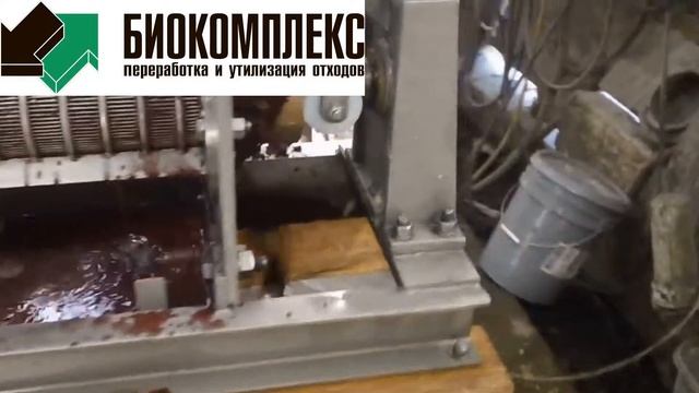 Переработка черники смотреть онлайн