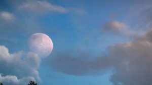 Женщина Водолей - характер этого знака зодиака.