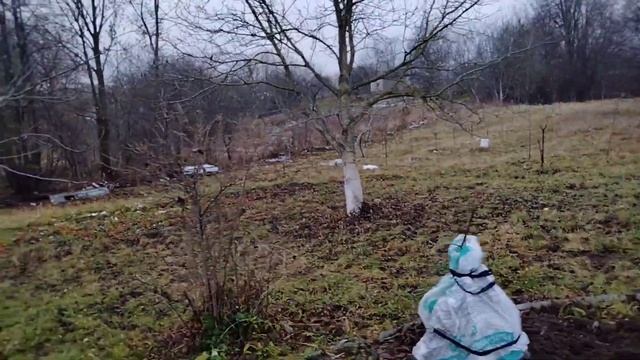 Спасаем яблони.У зайца нет шансов?! #дача#дачнаяжизнь#яблони# смотреть онлайн