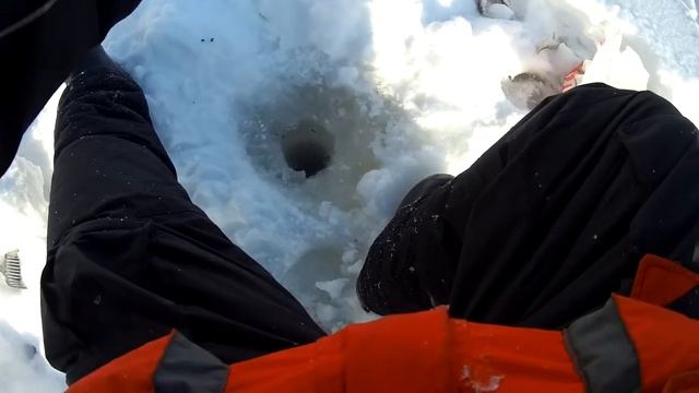 Рыбалка в Томской области. Ловим ельца на пробку. смотреть онлайн