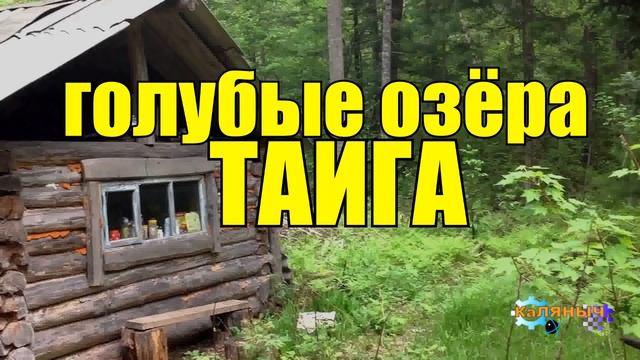 0816 - ПУТЕШЕСТВИЕ ПО ТАЙГЕ _ ОДИНОЧНЫЕ ПОХОДЫ _ РЫБАЛКА НА ОЗЕРАХ _ 8 ДНЕЙ и СУДЬБА ЧЕЛОВЕКА смотреть онлайн