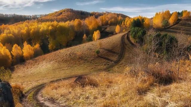 Невиновную деревенскую сироту посадили в камеру, но едва её увидел начальник все остолбенели смотреть онлайн