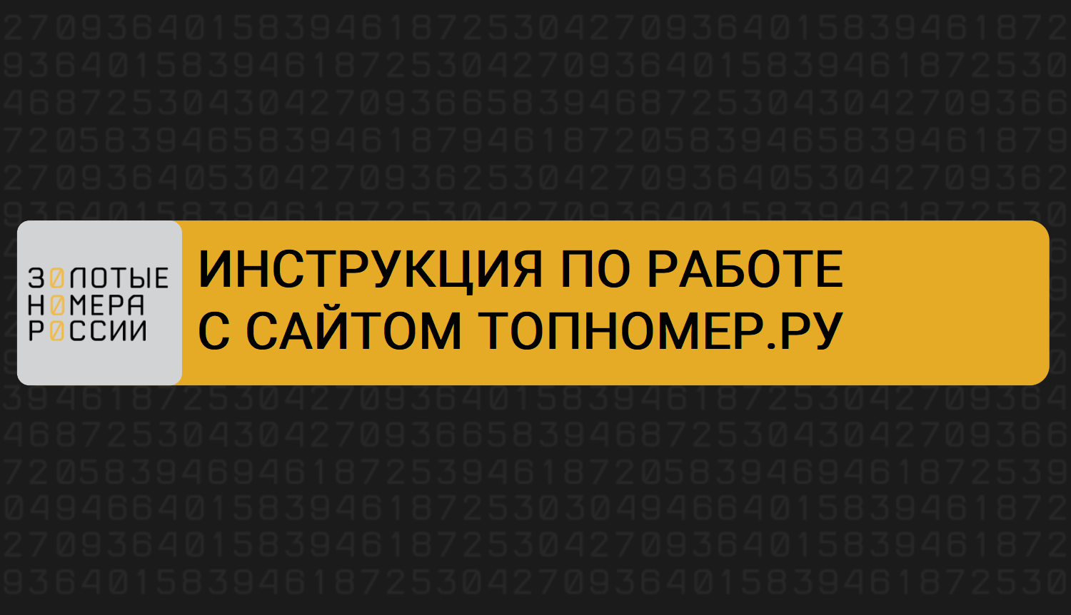 Инструкция по работе с сайтом Топномер.ру смотреть онлайн