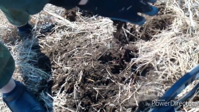 Первый находки с МД 4060 смотреть онлайн