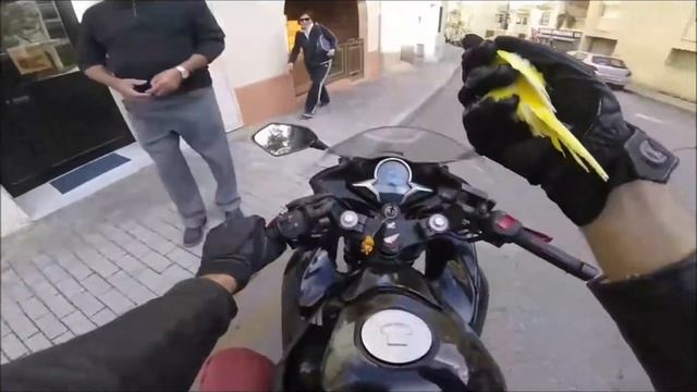 Как поймать попугая смотреть онлайн