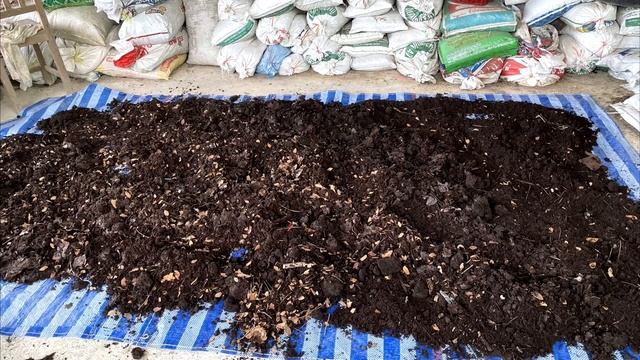 514/ ดินดี ปุษยดี ปลูกผักอินทรีย์ไว้กินในบ้าน /ตั้มเกษตรพอเพียง เกษตรมือใหม่ смотреть онлайн