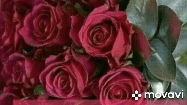 #💓Добрый#Вечер💓