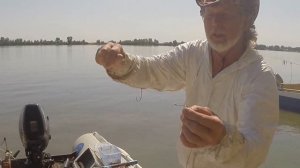 Крючки и монтаж поводка для сома при квочении. Советы Юрия Философа. Краткая версия 2023 год.