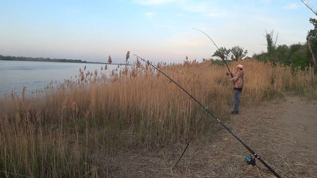 Весенняя Рыбалка на Волге Рыбалка на Закидушки Донку Ловля Голавля на Большой Реке Рыбалка 2021 смотреть онлайн