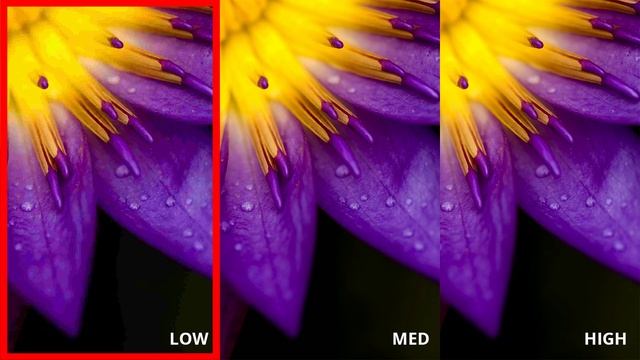Pixlr X - Saving & Exporting Projects смотреть онлайн