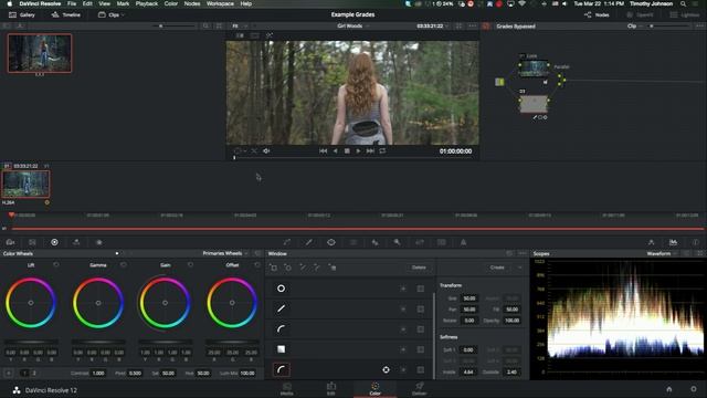 Fantasy Forest // Davinci Resolve Lite 12 Color Grading Tutorial