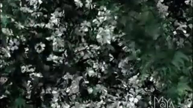 Love Is You смотреть онлайн