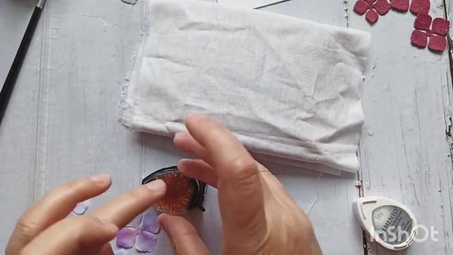 Мастер класс: Саржента четырëхлепестковая смотреть онлайн