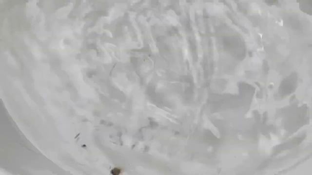 ЭПИЛЯТОРЫ МОИ BRAUN silk-epil эпилятор PANASONIC почистить смотреть онлайн