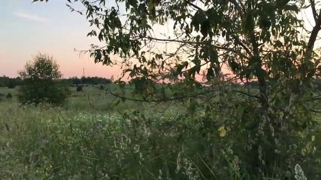 Иван Разумов и Лия Брагина - Чёрная смородина смотреть онлайн