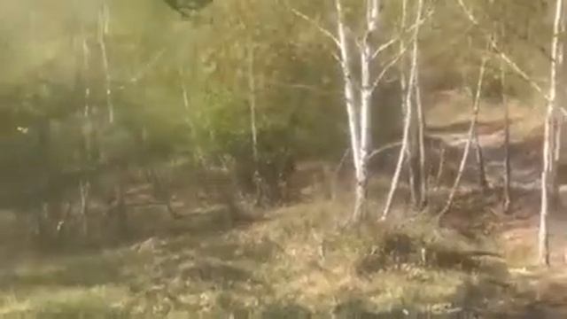 Газ 63 смотреть онлайн