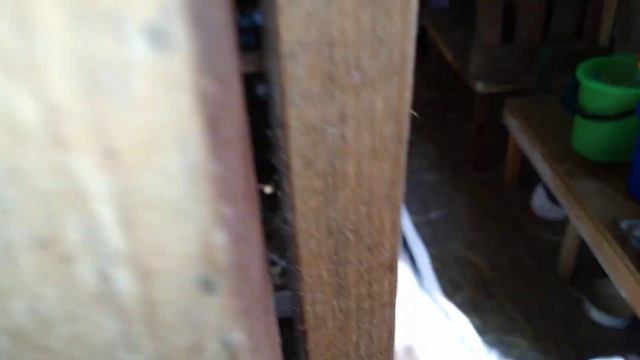 Кормлю козлят ЗЦМ смотреть онлайн