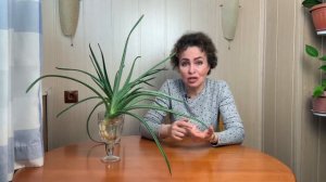 Как вырастить АЛОЭ. Как посадить АЛОЭ.