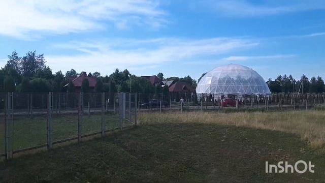 Зоосад Буйничи смотреть онлайн