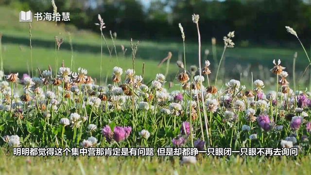 好书解读：《房間裏的大象：生活中的沈默和否認》作者：伊维塔·泽鲁巴维尔(Eviatar Zerubavel) 【书海拾慧】 смотреть онлайн