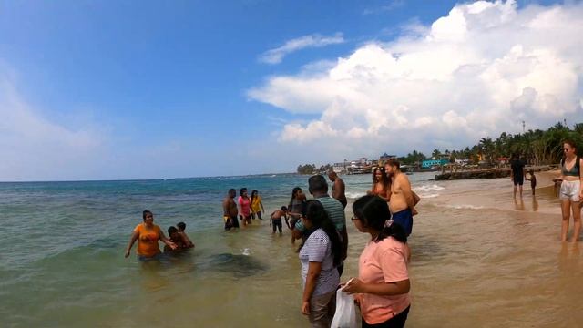 Хиккадува в октябре: Пляжи выходного дня + Виджая - Шри-Ланка Семейный Тревел Влог смотреть онлайн
