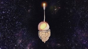 Частота УЛЕО - Исцеление Желудочно-Кишечного Тракта | Медитация