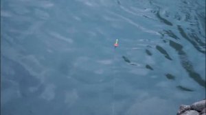 Рыбалка в Сочи на речке